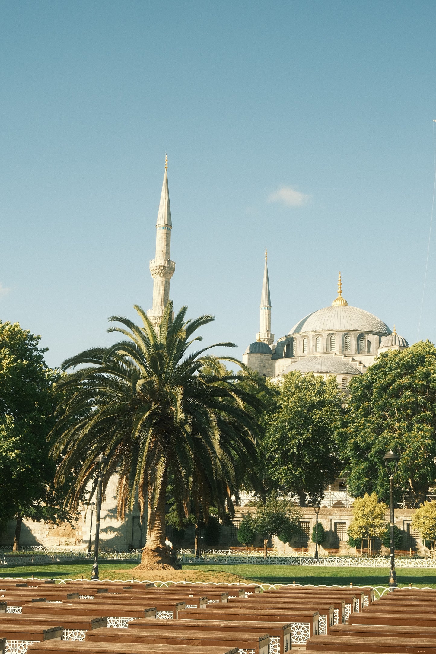 The Blue Mosque