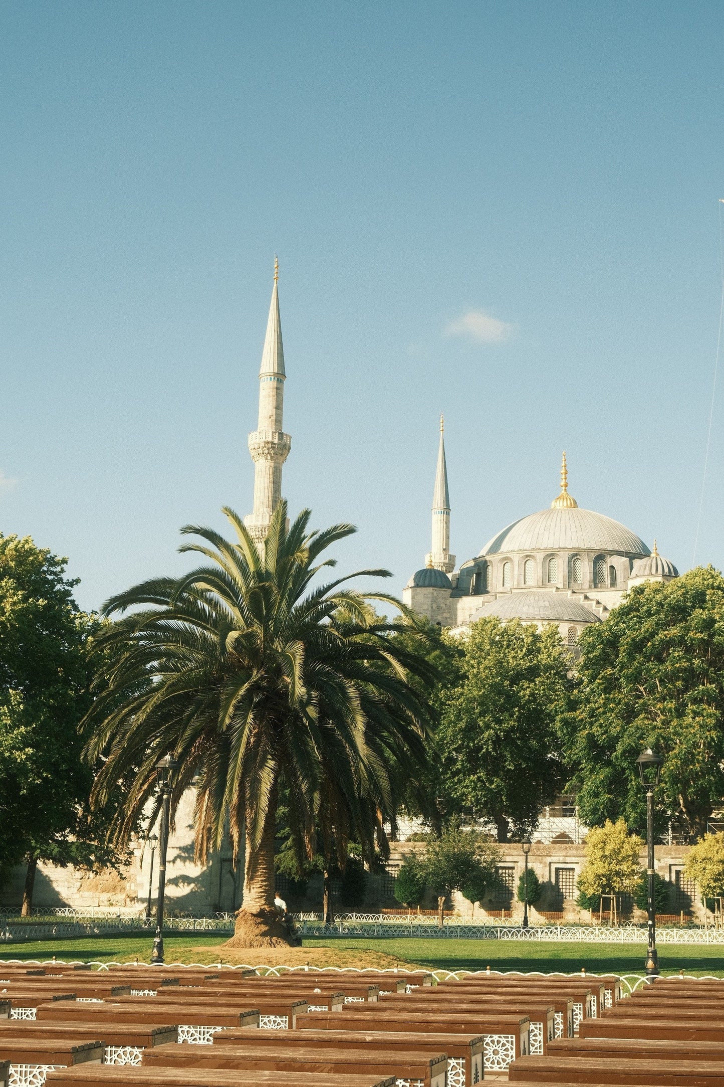 The Blue Mosque